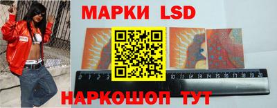 дмт Донской