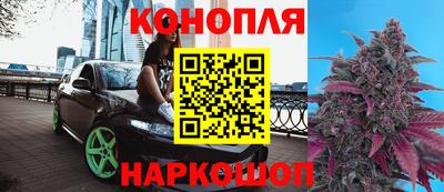 дмт Донской