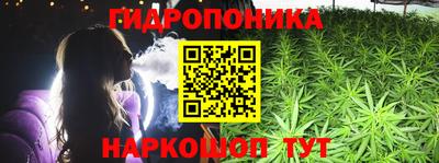 дмт Донской