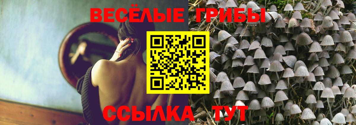 Галлюциногенные грибы Cubensis  Вход с VPN  Набережные Челны 